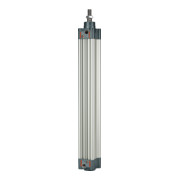 Riegler Normzylinder, double effet, aimant, Ø piston 32, course 100, G 1/8-1