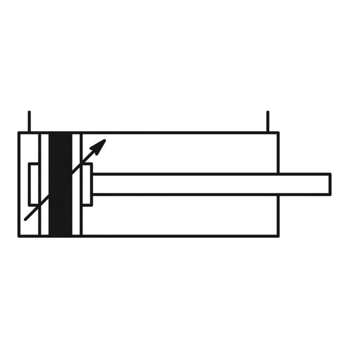 Riegler Normzylinder SAI, double effet, Ø piston 100, course 250, G 1/2