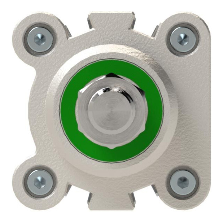 Riegler Normzylinder SAI, double effet, Ø piston 32, course 200, G 1/8
