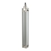 Riegler Normzylinder »SE« double effet, Ø piston 100, course 25, G 1/2-1