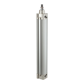 Riegler Normzylinder »SE« double effet, Ø piston 125, course 50, G 1/2