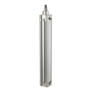 Riegler Normzylinder »SE« double effet, Ø piston 125, course 50, G 1/2-1