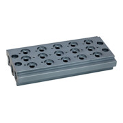 Riegler Plaque de base multiple pour vannes de chemin, 5 positions de vanne, G 1/4-1