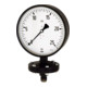 Riegler Plattenfedermano, Robust., G 1/2 radial unten, 0 - 6,0 bar, Ã˜ 100-1