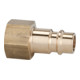 RIEGLER pour coupleurs NW 7.2 - NW 7.8 Laiton brillant G 1/4 IG-1
