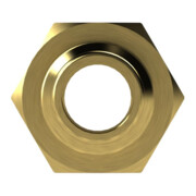 RIEGLER pour coupleurs NW 7.2 - NW 7.8 Laiton brillant G 1/4 IG-2