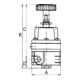 Riegler Präzisionsdruckregler ohne Mano, G 1/4, Regelbereich 0,05 - 2 bar-3