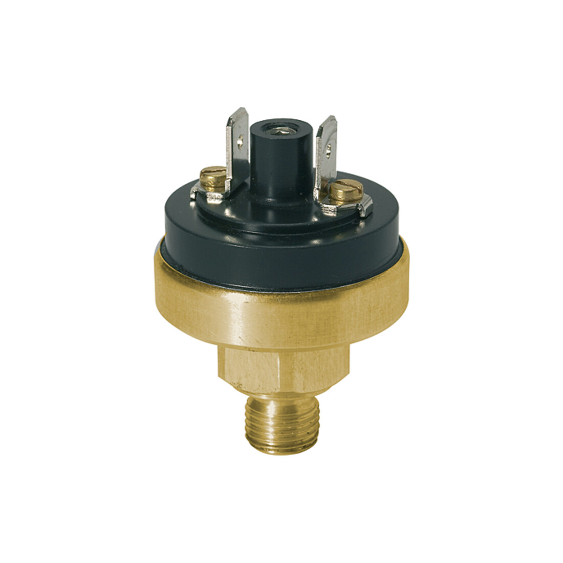 Riegler Pressostat basse pression, MS, M10x1, 0,2 - 1,5 bar, contact fermé