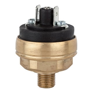 Riegler Pressostat basse pression, MS, M10x1, 0,2 - 1,5 bar, ouvreur