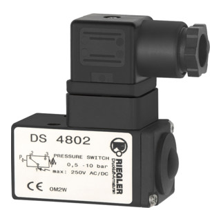 Riegler Pressostat, contact inverseur à bride, KS, G 1/4, 0,2-6 bar