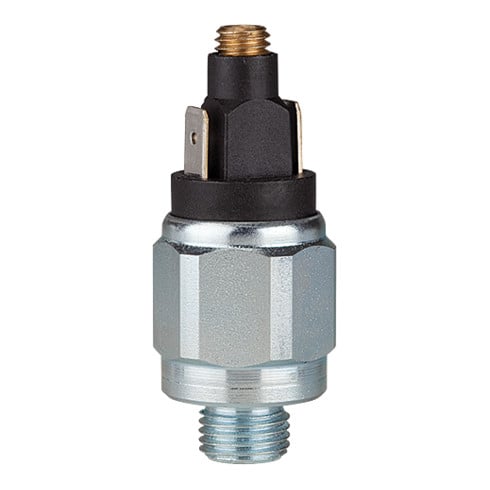 Riegler Pressostat, standard, acier zingué, G 1/4, 1-10 bar, contact normalement fermé