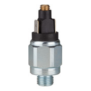 Riegler Pressostat, standard, acier zingué, G 1/4, 1-10 bar, contact normalement fermé-1