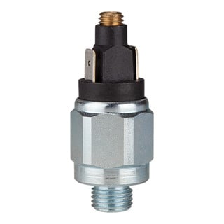 Riegler Pressostat, standard, acier zingué, G 1/8, 0,5-2 bar, contact fermé