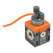 Riegler Pressostat »SYNTESI«, BG 1, G 1/8, câble 2 m-1