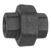 Riegler Raccord 330, joint plat, Rp 1 1/2, Rp 1 1/2, acier trempé noir-1