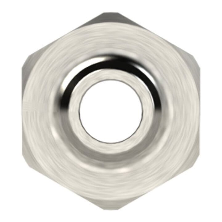 Riegler Raccord fileté, G 2 1/2 a., pour tuyau LW 63, MS nickelé