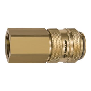 Riegler Raccord rapide NW 19, laiton poli, G 1 1/4 F