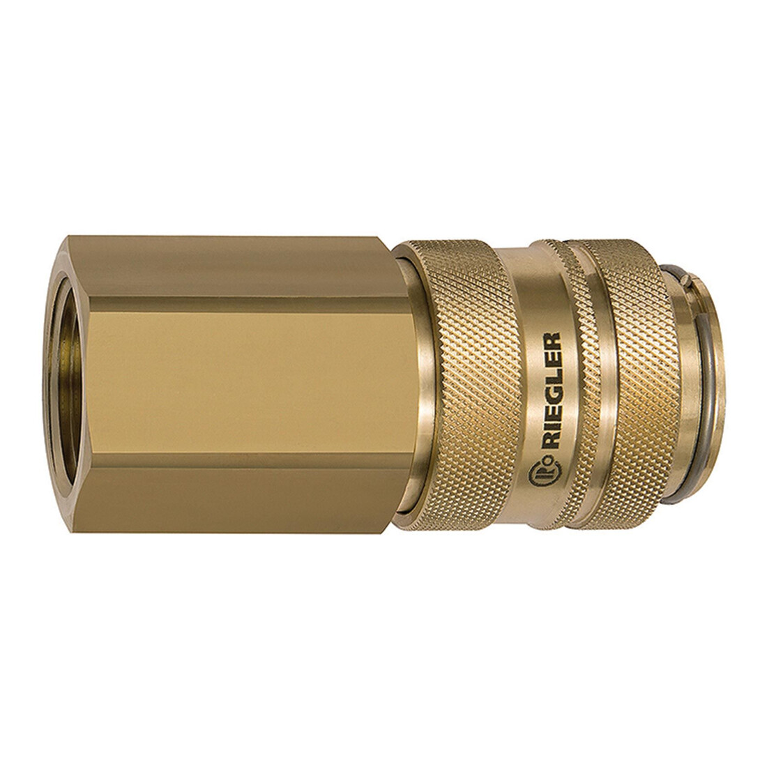 Riegler Raccord rapide NW 19, laiton poli, G 1 IG
