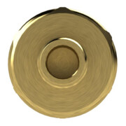 Riegler Raccord rapide NW 7,2, laiton brut, embout LW 13-2