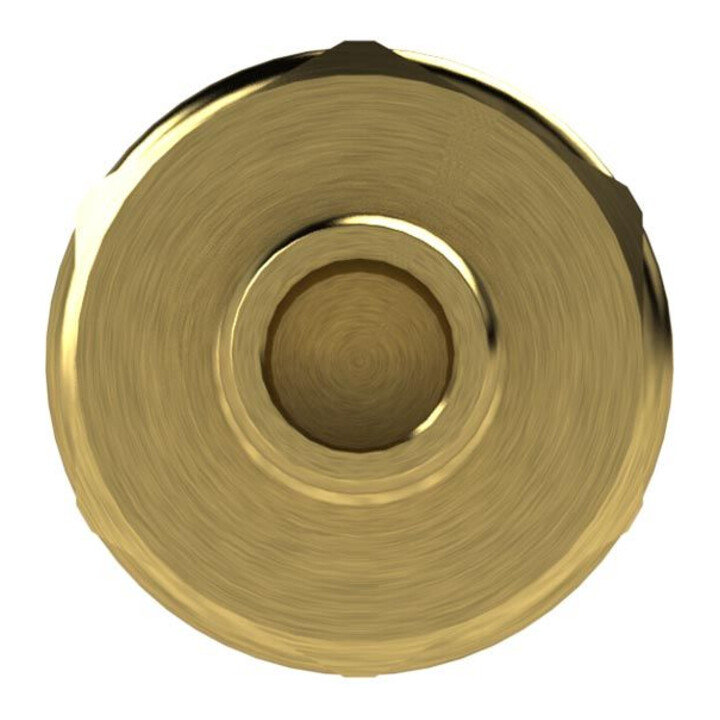 Riegler Raccord rapide NW 7,2, laiton naturel, embout LW 9