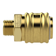 Riegler Raccord rapide NW 7,2, obturation double, G 3/8 AG-4