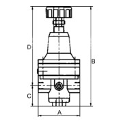 Riegler Régulateur d'air de commande de précision (régulateur à retour), G 1/4, 0,2 - 7 bar-3