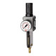 Riegler Régulateur de filtre »FUTURA«, MB, SR, Mano, BG 1, G 3/8, 0,5-10 bar, VA