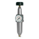 Riegler Régulateur de filtre »Standard«, avec récipient métal, BG 1, G 1/4