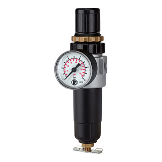 Riegler Régulateur de filtre »Standard-mini«, réservoir métal avec manomètre, G 1/8