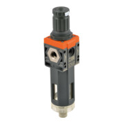 Riegler Régulateur de filtre »SYNTESI«, BG2, s. m., 5µm, 0…2bar, RA, s. manom.-1