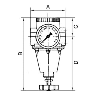 Riegler Régulateur de pression constant avec manomètre, BG 1, G 1/4, 0,5 - 16 bar