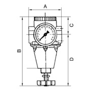 Riegler Régulateur de pression constant avec manomètre, BG 1, G 1/4, 0,5 - 16 bar-1
