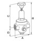 Riegler Régulateur de pression DRV 200, version standard, G 2, 1,5 - 8 bar