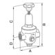 Riegler Régulateur de pression DRV 200, version standard, G 3/4, 1,5 - 8 bar