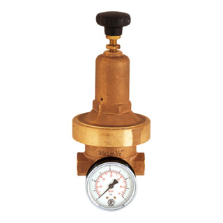 Riegler Régulateur de pression DRV 250, basse pression, G 1/2, 0,2 - 2 bar