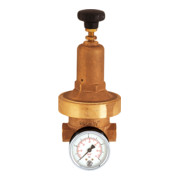 Riegler Régulateur de pression DRV 250, basse pression, G 1/4, 0,2 - 2 bar-1