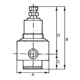 Riegler Régulateur de pression inox 1.4404, réversible, G 1/4, 0,5 - 8 bar