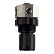 Riegler Régulateur de pression inox 1.4571, fluides liquides, G 1/4, 0,1 - 2 bar-1