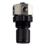 Riegler Régulateur de pression inox 1.4571, fluides liquides, G 1/4, 0,2 - 6 bar-1