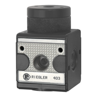Riegler Régulateur de pression pneumatique télécommandé »multifix«, BG 1, G 1/4