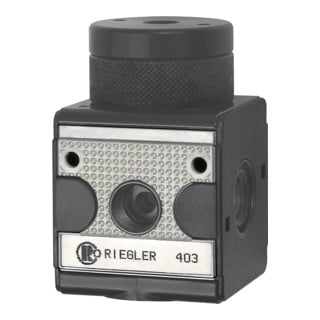 Riegler Régulateur de pression pneumatique télécommandé »multifix«, BG 3, G 1/2