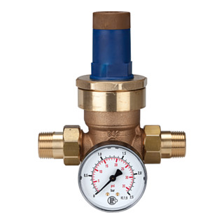 Riegler Régulateur de pression pour eau, avec manomètre, R 3/4, 0,2 - 2 bar