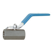 Riegler Robinet à bille inox 1.4408, 1 pièce petite série, G 3/8, DN 10-1