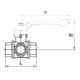 Riegler Robinet à boisseau sphérique 3 voies, alésage en T, version légère, MS nickelé, Rp 3/4
