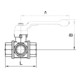 Riegler Robinet à boisseau sphérique 3 voies, standard, perçage en L, laiton chromé, Rp 2, DN 50