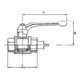 Riegler Robinet à boisseau sphérique filetage long, FI/FI, MS nickelé, Rp 1 1/4