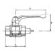 Riegler Robinet à boisseau sphérique filetage long, FI/FI, MS nickelé, Rp 2