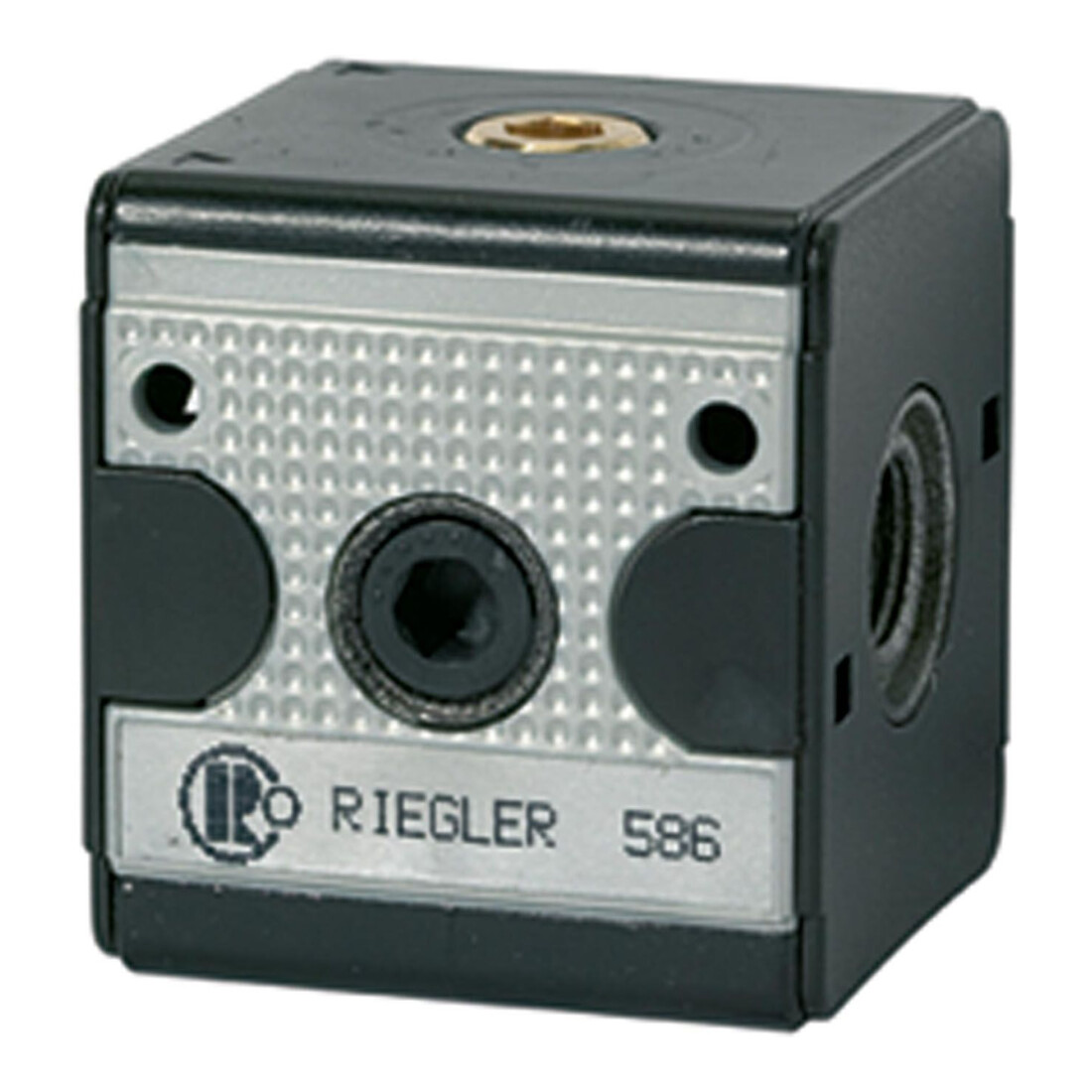 RIEGLER Rückschlagventil »multifix«, BG 1