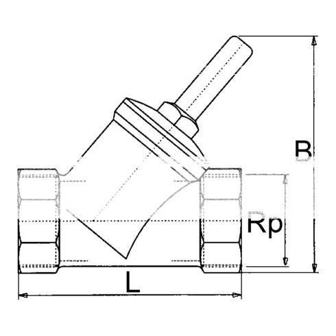 Rückschlagventil Rp Schrägsitzausführung aus Messing