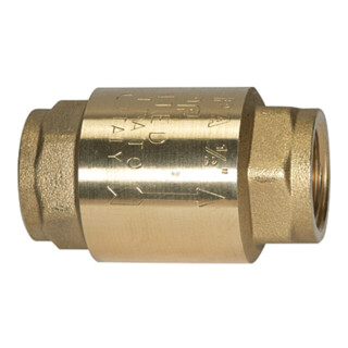 Riegler Rückschlagventil, voller Durchgang, Messing, G 2, 0,01 - 0,03 bar
